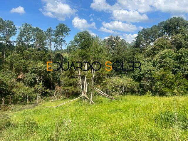 #35 - Chácara para Venda em Taubaté - SP - 3