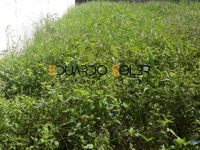 Área para Venda em Taubaté - 5