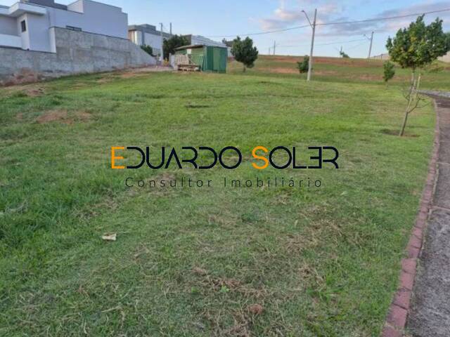 #787 - Área para Venda em Taubaté - SP - 3